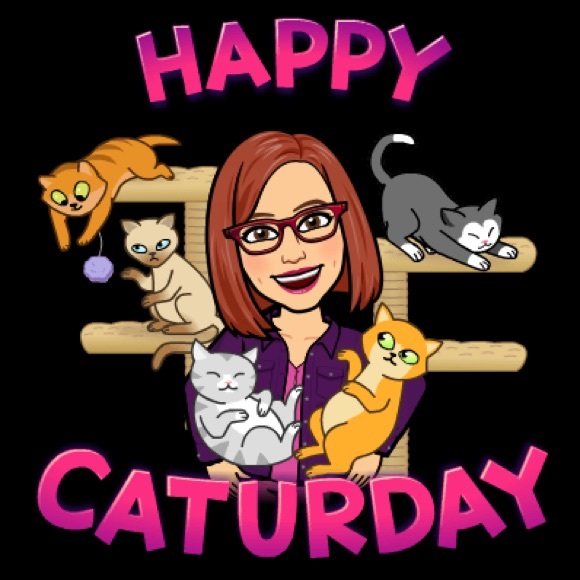 🐱 Join us for NWT share on Tuesdays, Wednesdays, Thursdays and Sundays 👩🏻🦰 - Picture 7 of 16